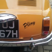 Pliny the Fiat 500L